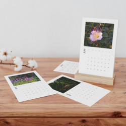 TheSingDesigns vertical desk calendar (2023)