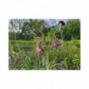 Art Postcards April (2025)
