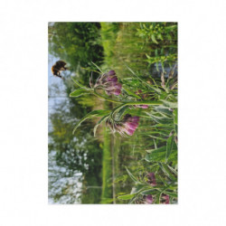 Art Postcards April (2025)