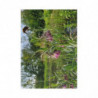Art Postcards April (2025)