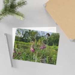 Art Postcards April (2025)
