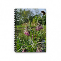 Art Notebooks April (2025)