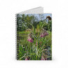 Art Notebooks April (2025)
