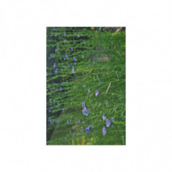 Art Postcards March (2025)