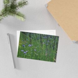 Art Postcards March (2025)