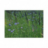 Art Postcards March (2025)