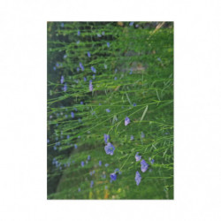 Art Postcards March (2025)