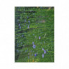 Art Postcards March (2025)