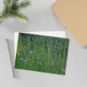 Art Postcards March (2025)