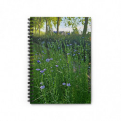 Art Notebooks March (2025)