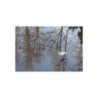 Art Postcards January (2025)