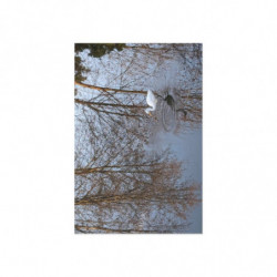 Art Postcards January (2025)