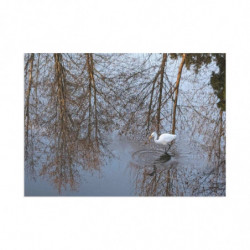 Art Postcards January (2025)