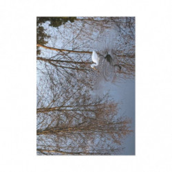 Art Postcards January (2025)