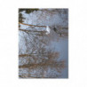 Art Postcards January (2025)