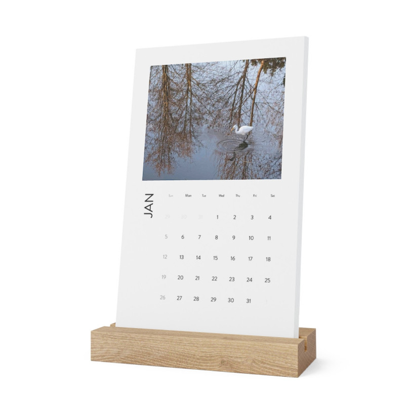 TheSingDesigns Desk Calendar 2025 - Serene Vistas and Colorful Scenery - Eco Paper - Oak Stand