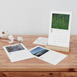 TheSingDesigns Desk Calendar 2025 - Serene Vistas and Colorful Scenery - Eco Paper - Oak Stand