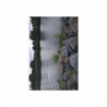 Art Postcards November (2025)