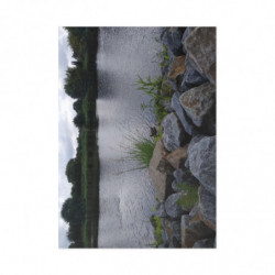 Art Postcards November (2025)