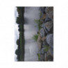 Art Postcards November (2025)