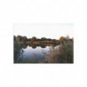 Art Postcards August (2025)