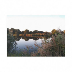 Art Postcards August (2025)