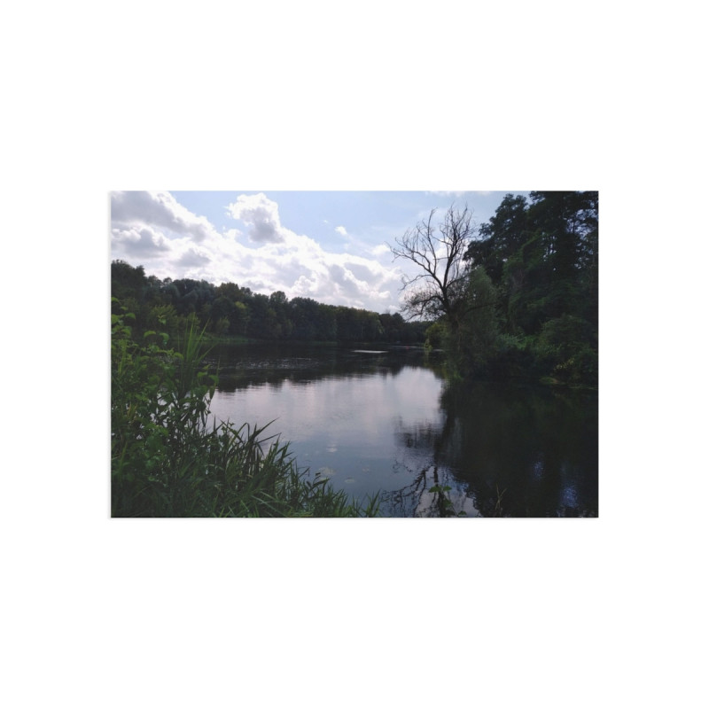 Art Postcards July (2025)