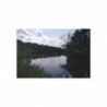 Art Postcards July (2025)