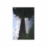 Art Postcards July (2025)