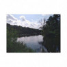 Art Postcards July (2025)