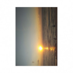 Art Postcards June (2025)