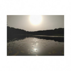 August Sun.