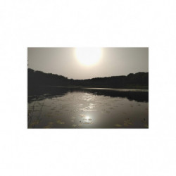August Sun.