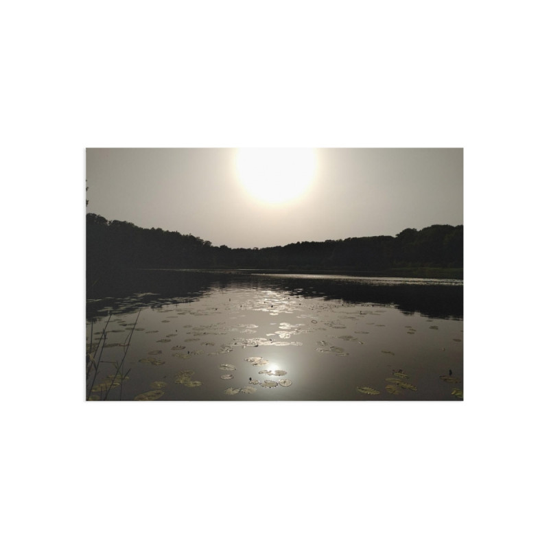 August Sun.