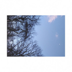 January Moon.