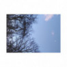 January Moon.