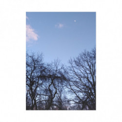 January Moon.