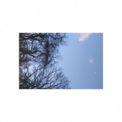January Moon.