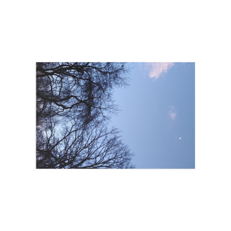 January Moon.