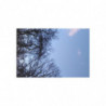 January Moon.