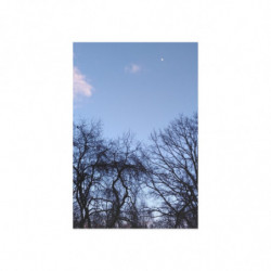 January Moon.