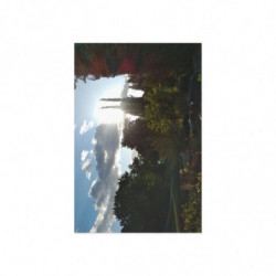 July Breeze