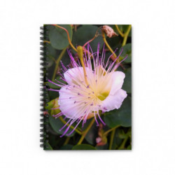 Gorgeous June Notebook