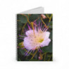Gorgeous June Notebook