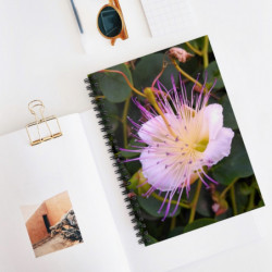 Gorgeous June Notebook