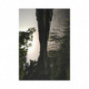 Summer Breeze