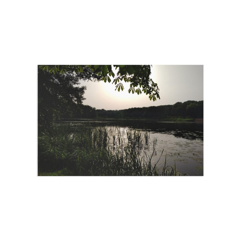 Summer Breeze