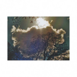 Winter Sun