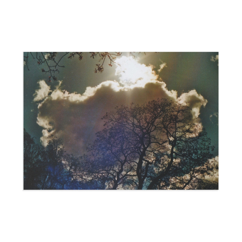 Winter Sun