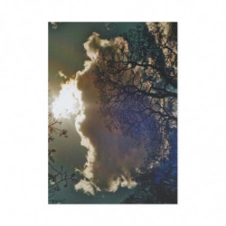 Winter Sun